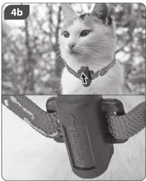 Ferplast Swing 5 - IN/OUT INDICATOR4-WAY LOC - 5