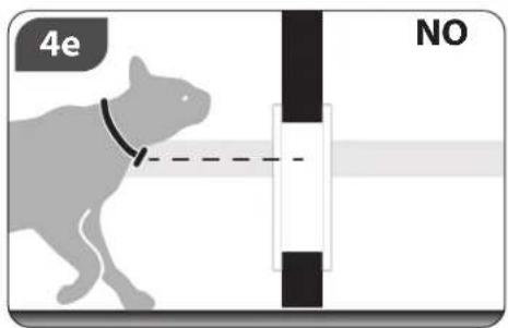 Ferplast Swing 5 - IN/OUT INDICATOR4-WAY LOC - 7