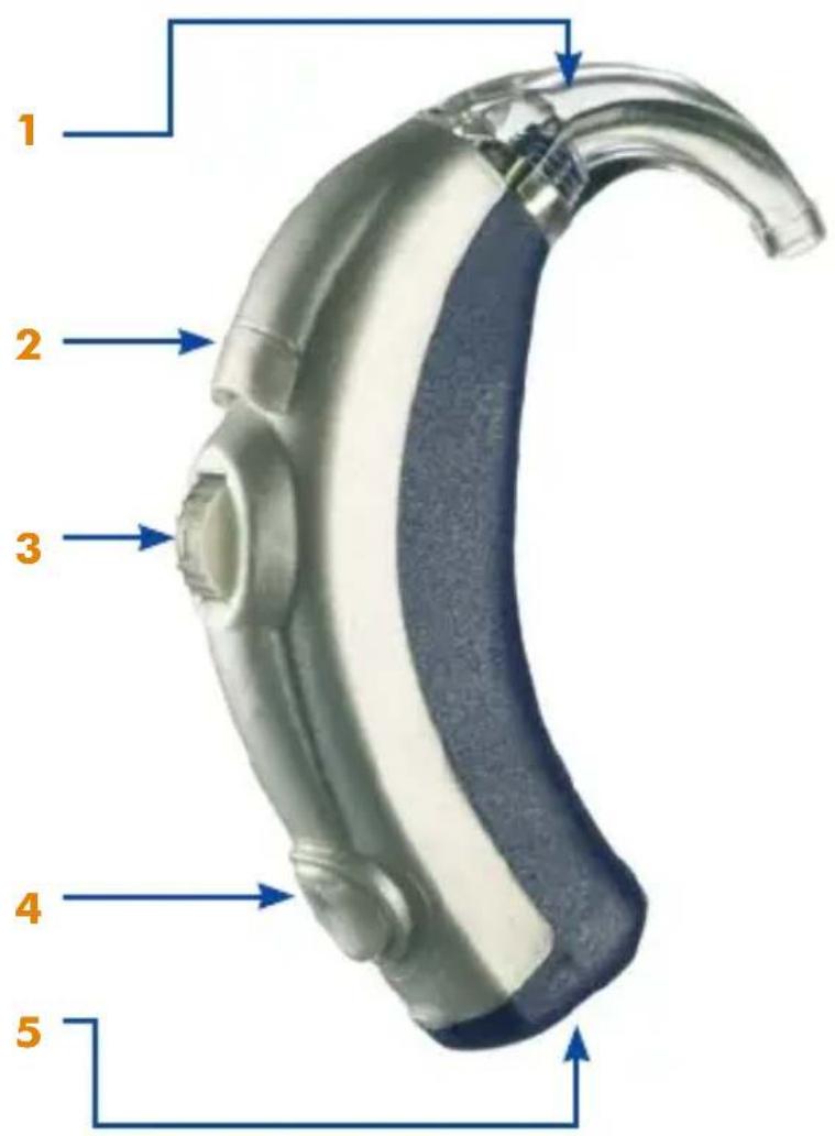 Starkey DaVinci - Identification - 1