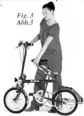 DI BLASI R5 - (Fig. 4) - 1