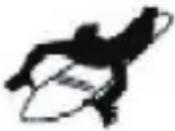 CAT EYE Q3a - Prudence : - 4