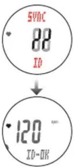 CAT EYE Q3a - Recherche du numéro d'identification des capteurs SYNC ID - 10