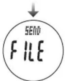 CAT EYE Q3a - Communication entre votre PC et cet appareil - 6