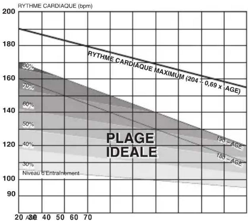 CAT EYE Q3a - Niveau d'entraînement pour améliorer sa forme générale - 1