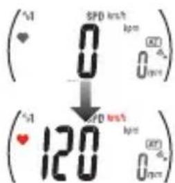 CAT EYE Q3a - Capteur de fréquence cardiaque - 1