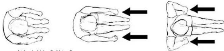Skandika Regatta Multigym Poseidon - Rudergrundzüge - 1