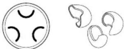 KENWOOD A 9106 - 11