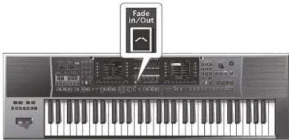 Fade In/Out