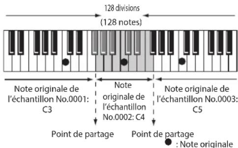 128 divisions (128 notes) Note originale de l'échantillon No.0001: C3 Note originale de l'échantillon No.0002: C4 Point de partage Point de partage Note originale de l'échantillon No.0003: C5 : Note originale