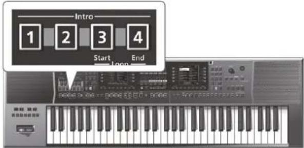 ROLAND EA7 - Jouer accompagné par un style - 1