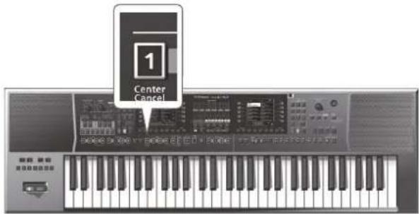 ROLAND EA7 - Center Cancel - 1