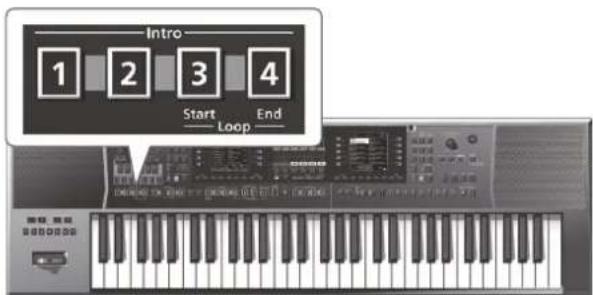 Intro 1 2 3 4 Start End Loop