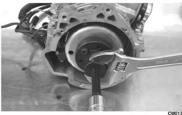 Arctic Cat Sno Pro 500 (2014) - ATTENTION - 1