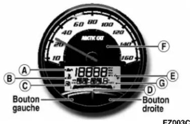Arctic Cat M 800 Sno Pro (2012) - Icônes d'indicateur (Jauge régulier) - 1