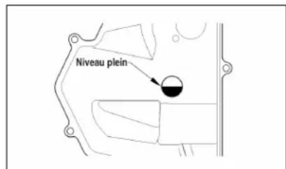 Arctic Cat M 800 Sno Pro (2012) - Icône d'alerte de la pression d'huile (Modèles 1100 cc) - 1