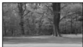 SONY DEV30 - Type of subjects that should be displayed on the screen for [Auto 3D Lens Adjust] - 1