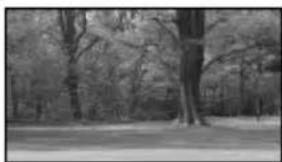 SONY DEV30 - Type de sujets qui devraient être affichés sur l'écran pour [Régl Auto Objectif 3D] - 1