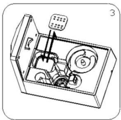 CASO AirVital Pro - Pad decalcificante - 4