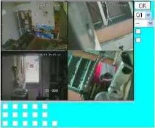 FRACARRO Milano 9.1 DVR - Σύνδεση με κινητή συσκευή: - 3