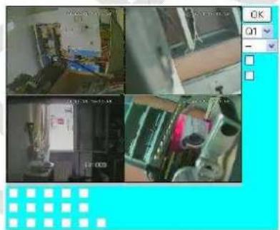 FRACARRO Firenze 16.7 DVR - Istruzioni Figure - 2