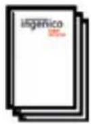 Ingenico ICT250 - Terminal et accessoires - 8