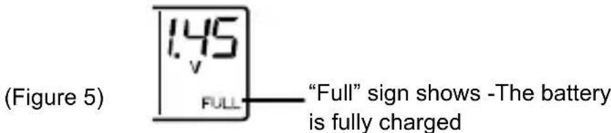 TECHNOLINE BC 250 - START CHARGING THE RECHARGEABLE BATTERIES - 4
