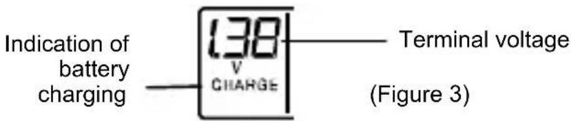 TECHNOLINE BC 250 - START CHARGING THE RECHARGEABLE BATTERIES - 2