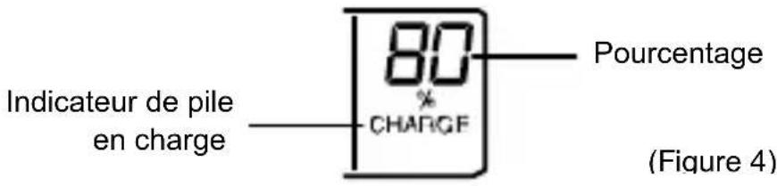 TECHNOLINE BC 250 - DEBUT DE CHARGE DE PILES RECHARGEABLES - 3