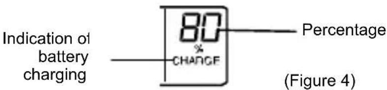 TECHNOLINE BC 250 - START CHARGING THE RECHARGEABLE BATTERIES - 3