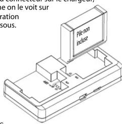Digipower RF100GP34 - INSErTIoN DE LA PILE - 1