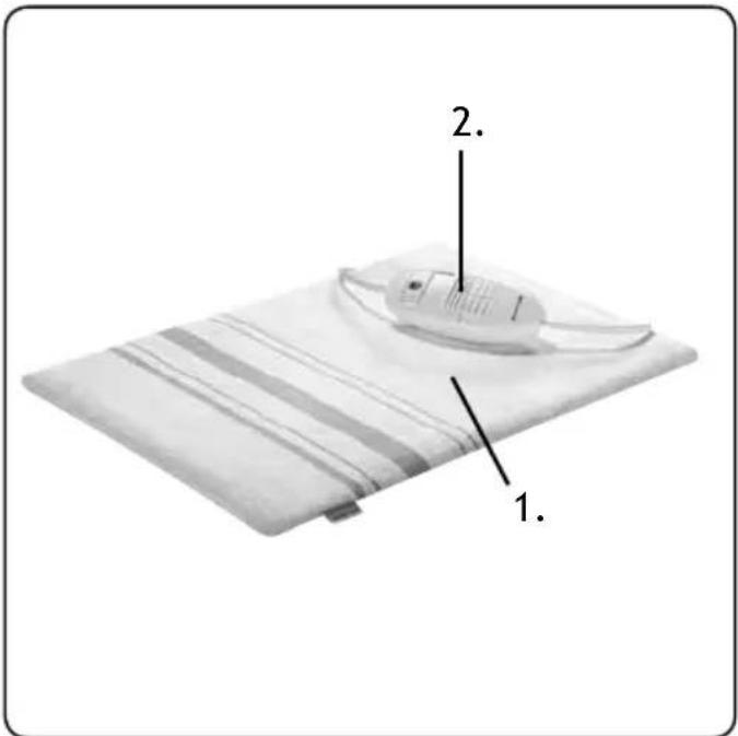 INVENTUM HNK40 - Conservation - 1