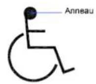 AUTODESK AutoCAD 2010 - Creation d'anneaux - 2