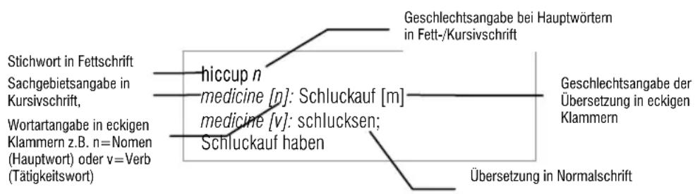 Hexaglot TopTranslator multi - Einträge richtig lessen - 1