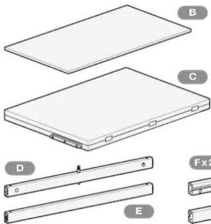 Foppapedretti Newton - CTPYKTKPA - 9