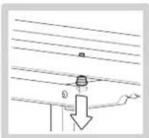 Foppapedretti Newton - CTPYKTKPA - 17