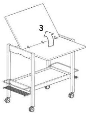 Foppapedretti Newton - CTPYKTKPA - 19