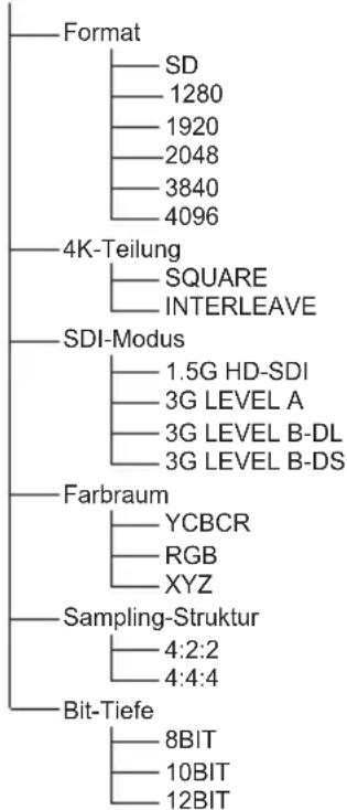 PANASONIC TYTBN03G - SDI-Einstellungen - 1