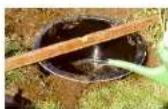 Fiap FountainBowl Active - 2