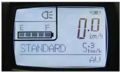 PANASONIC Pedelec Speed - Problemenoplossen - 1