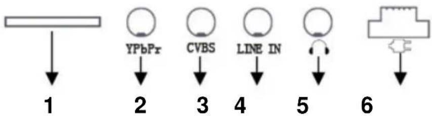 ALBRECHT DR 800TV - Anschlüsse Player - Rückseite - 1