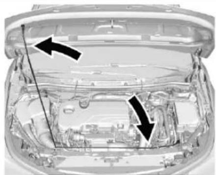 CHEVROLET Cruze (2018) - Capot - 2