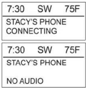 Indian Chief Vintage (2016) - Source bluetooth - conducteur - 3