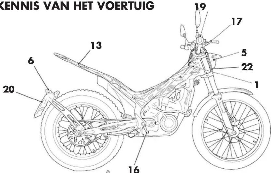 Beta EVO 300 SS (2018) - MOTORIDENTIFICATIE - 1