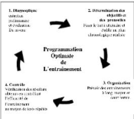 DKN EcoRun - Evaluación de su condición física - 1