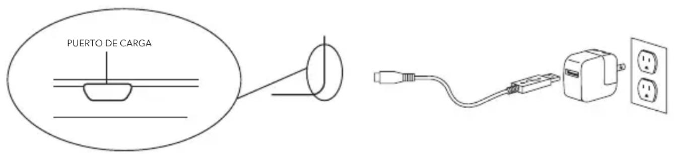 Zagg ID6BSFBBF - CARGA - 1