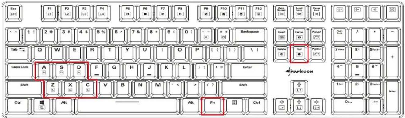 Sharkoon PureWriter RGB - 4