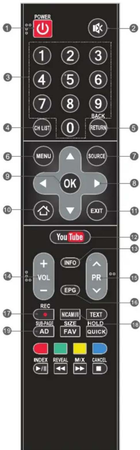 TESLA 49S367BFS - Remote Control - 1