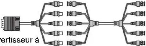 CANON REALiS WUX6010 - Types de signaux d'entrée - 10