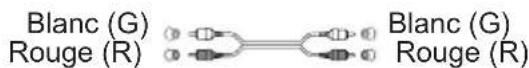 THOMSON TT600BT - Branchements - 2
