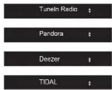 ONKYO TX8250S - Internet Radio - 3